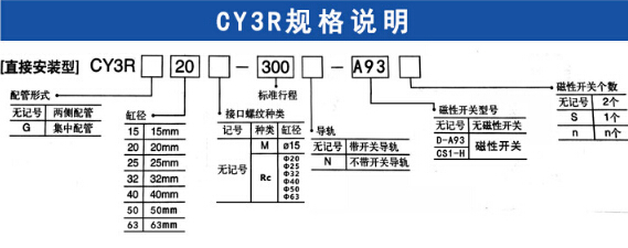 無桿氣缸規(guī)格說明