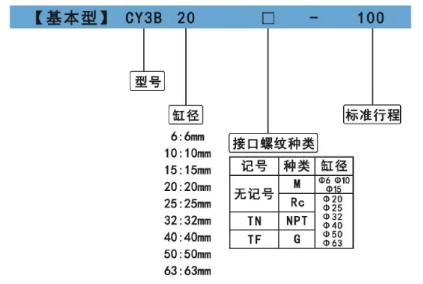 cy3b無(wú)桿氣缸訂購(gòu)碼.png